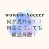 wowow-soccer-league